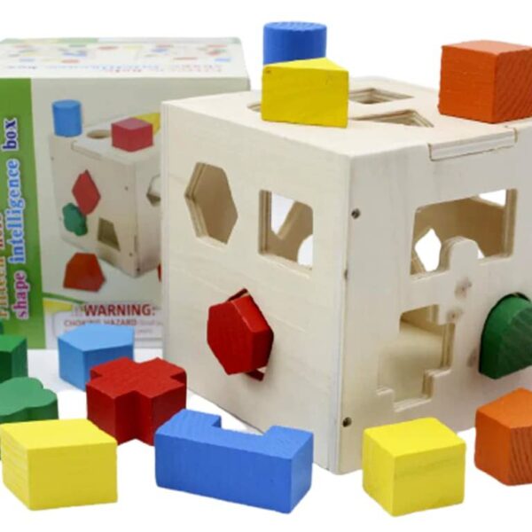 Kids Wooden Shape Sorter Puzzle